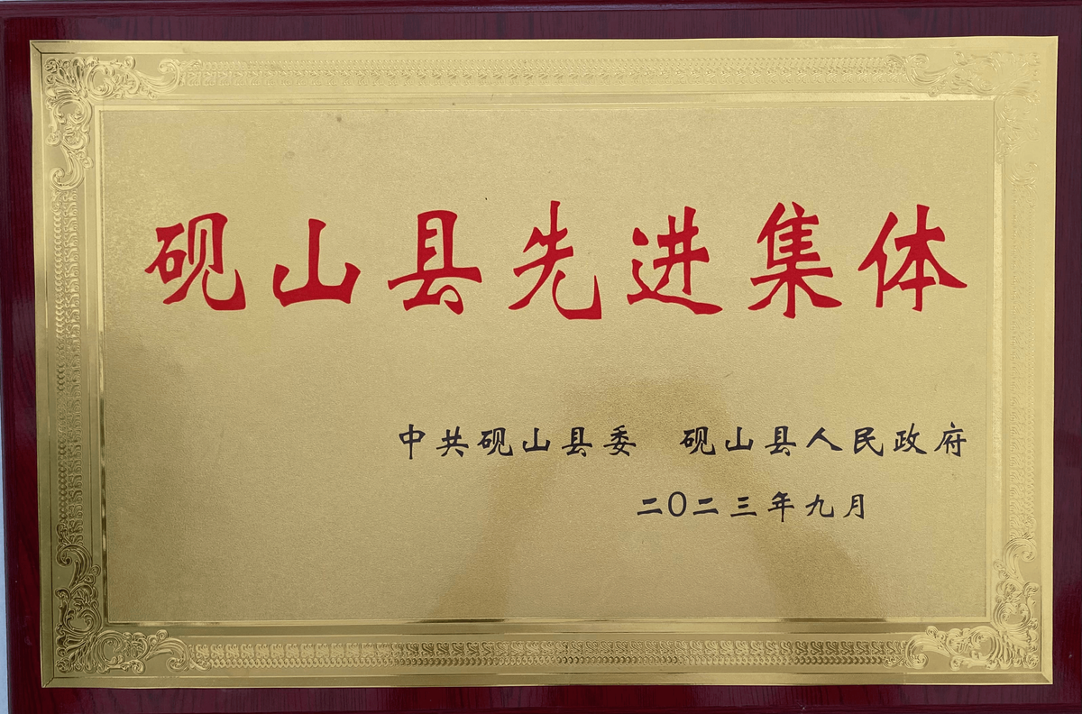 砚山县先进集体